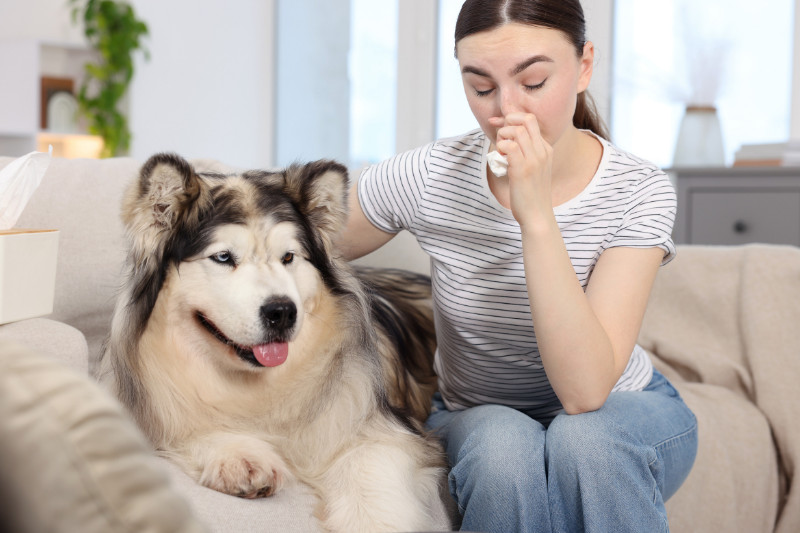 דואגים לכלב שלכם - איך לבחור פנסיון מומלץ לכלבים